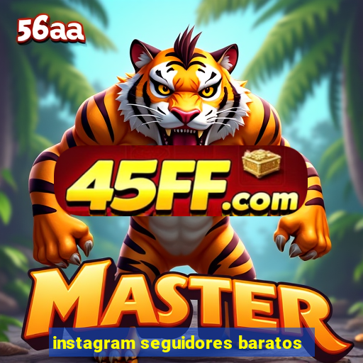 instagram seguidores baratos